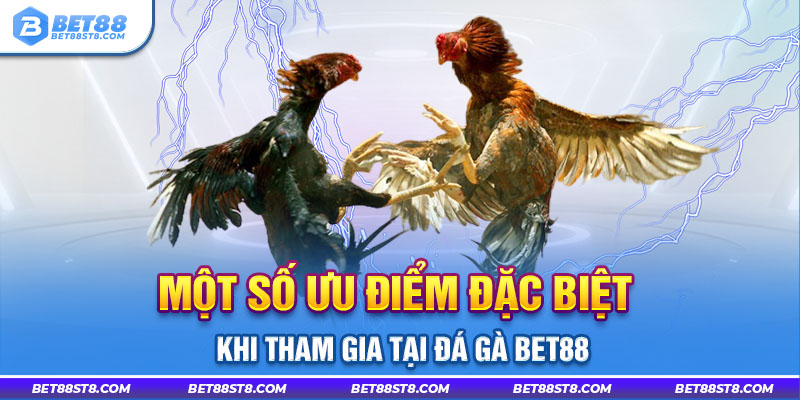 Một số ưu điểm đặc biệt khi tham gia tại đá gà Bet88